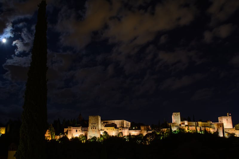 Fledermausquartiere